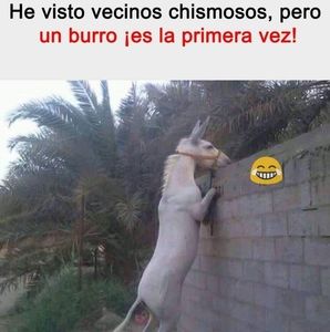 Meet your Posher, Luis gilberto